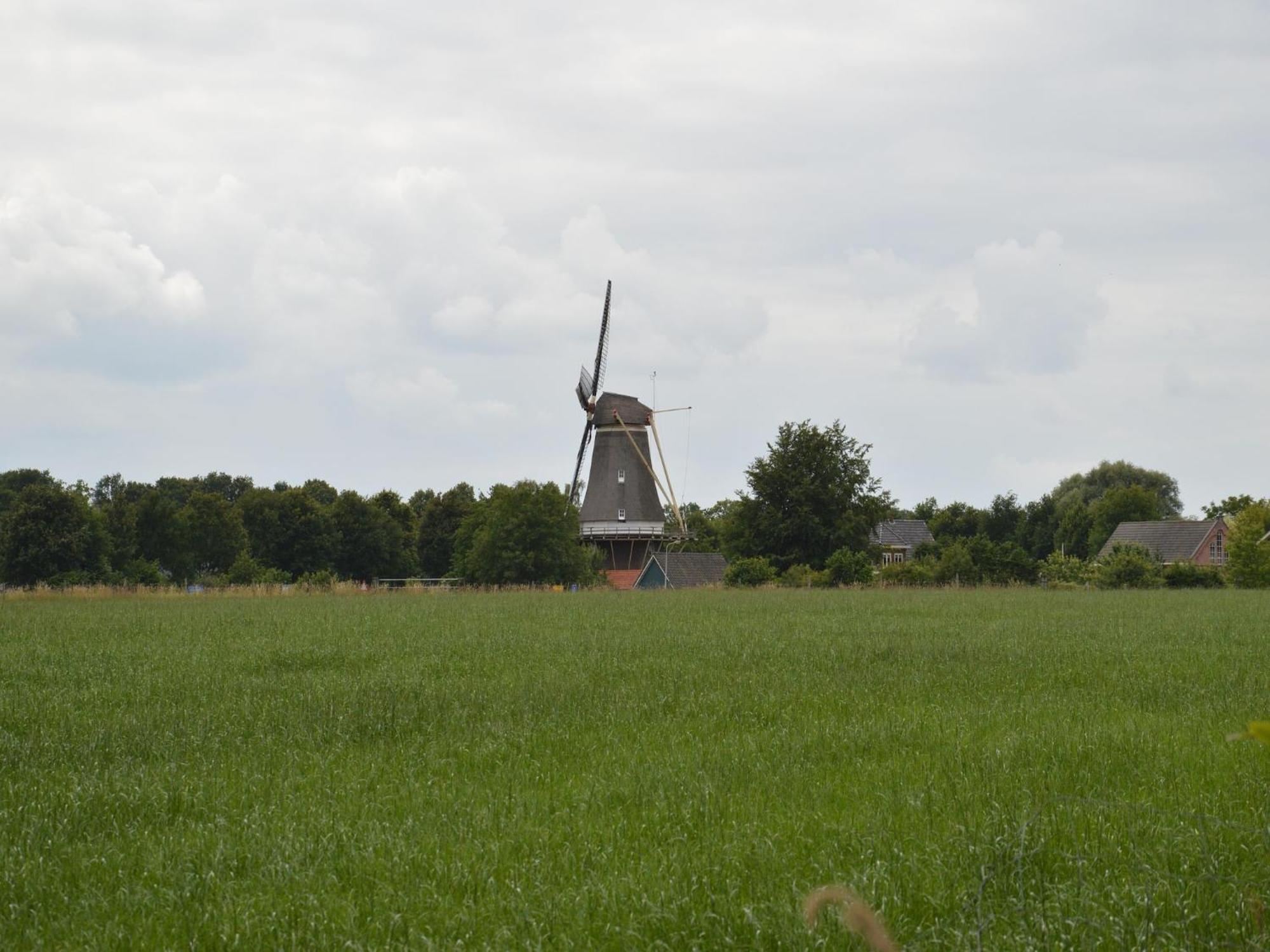 Quaint Farmhouse In Geesteren With Meadow View Geesteren (Gelderland) Exterior foto