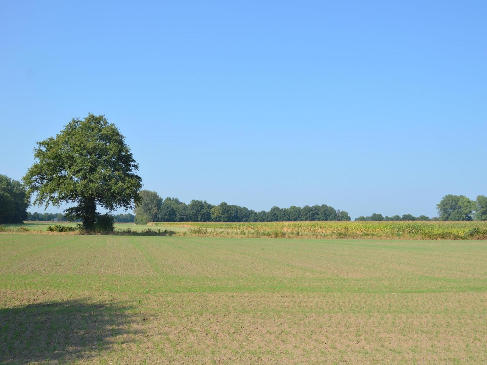 Quaint Farmhouse In Geesteren With Meadow View Geesteren (Gelderland) Exterior foto