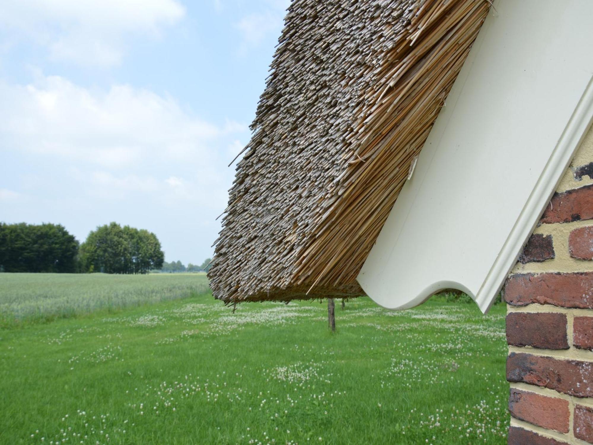 Quaint Farmhouse In Geesteren With Meadow View Geesteren (Gelderland) Exterior foto