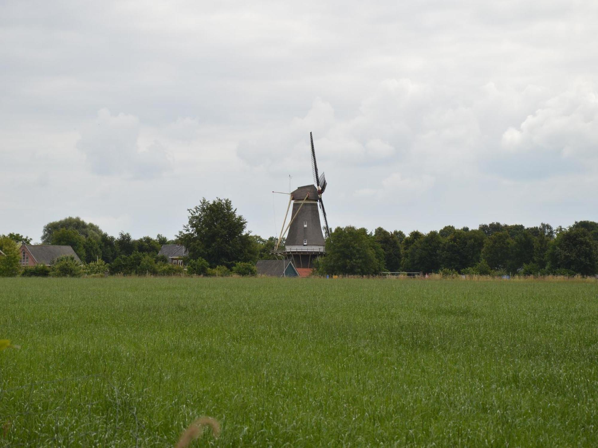 Quaint Farmhouse In Geesteren With Meadow View Geesteren (Gelderland) Exterior foto