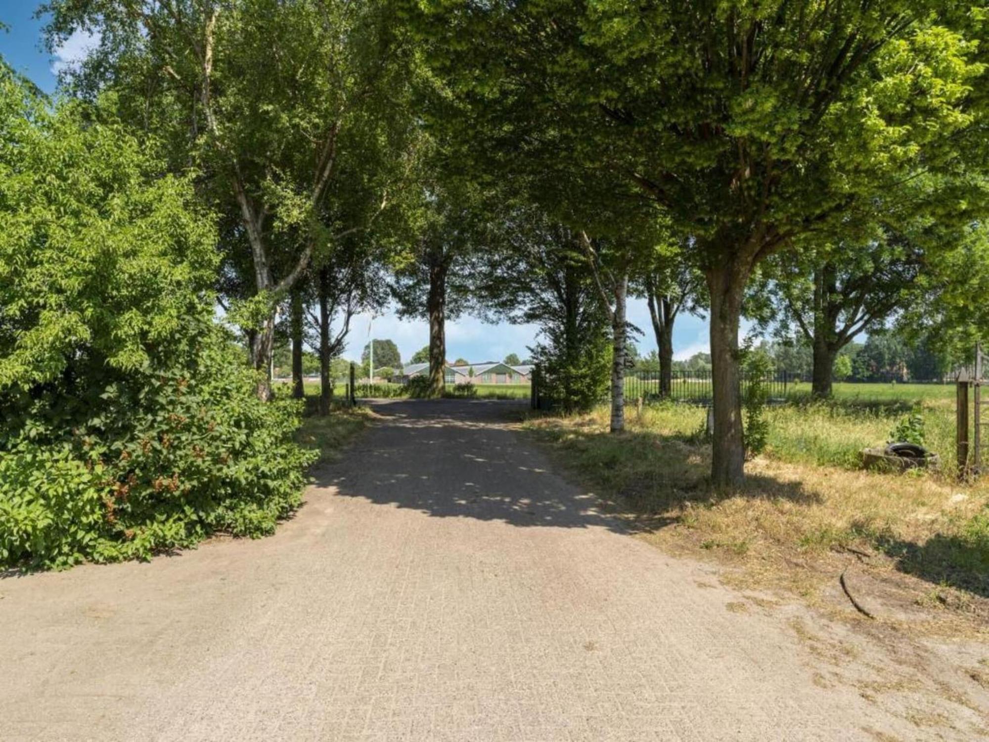 Quaint Farmhouse In Geesteren With Meadow View Geesteren (Gelderland) Exterior foto